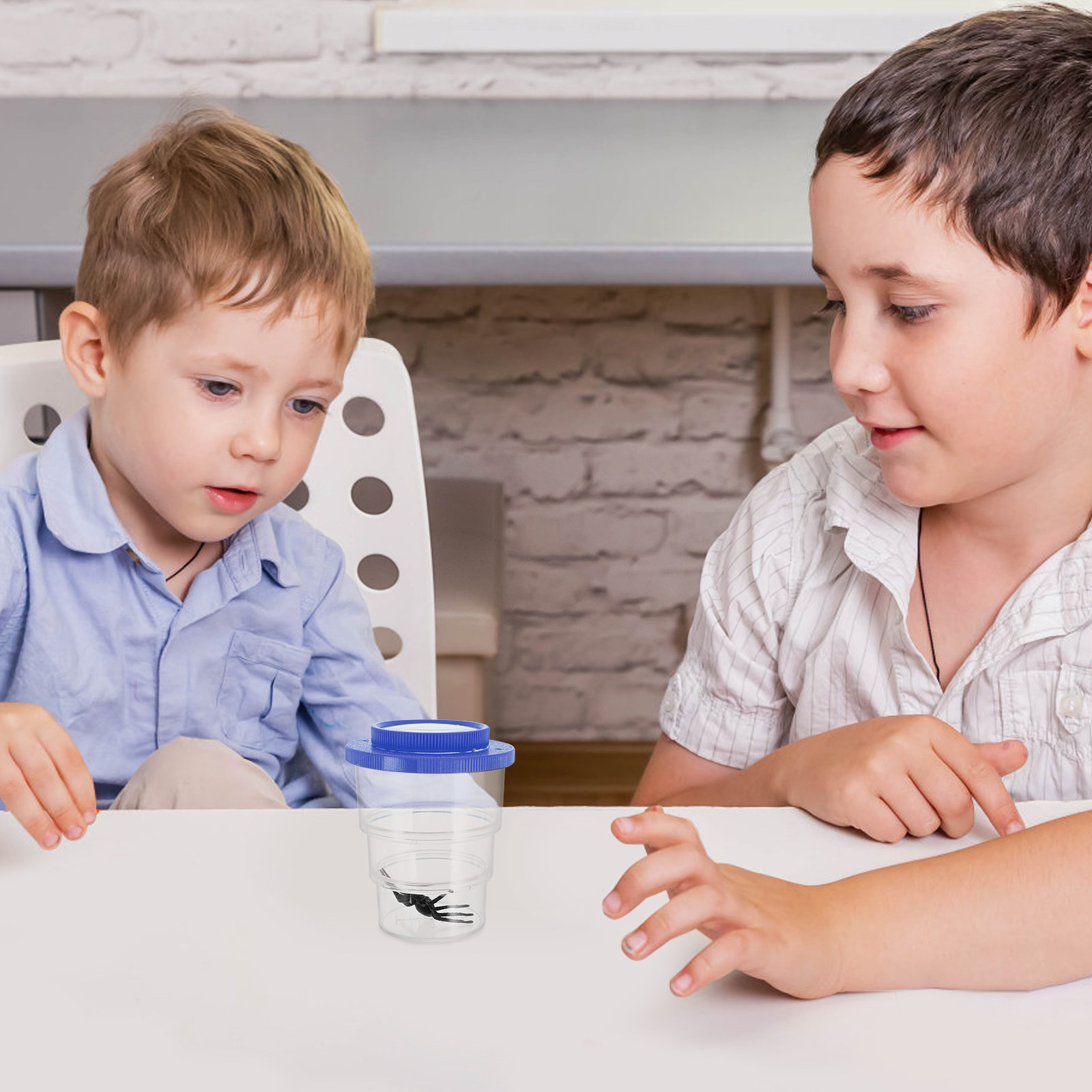 Boîte d'observation d'insectes - Science Toys avis et prix