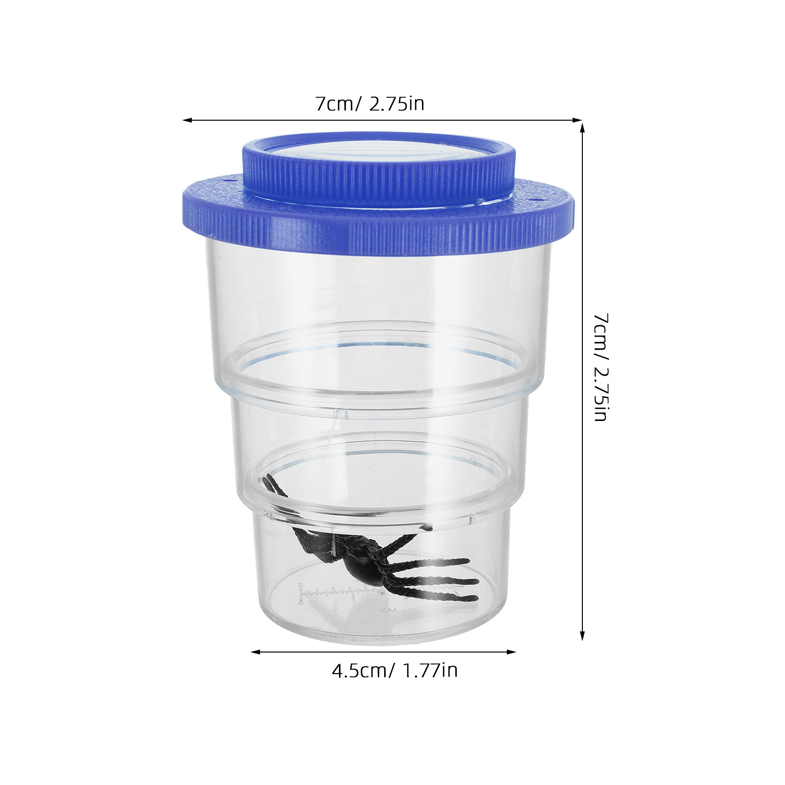 Boîte d'observation d'insectes - Science Toys avis et prix