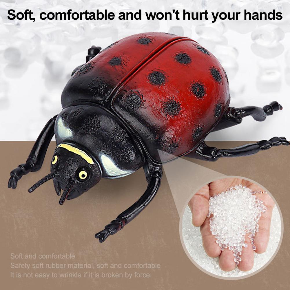 Figurine réaliste de scarabée  - Science Toys avis et prix