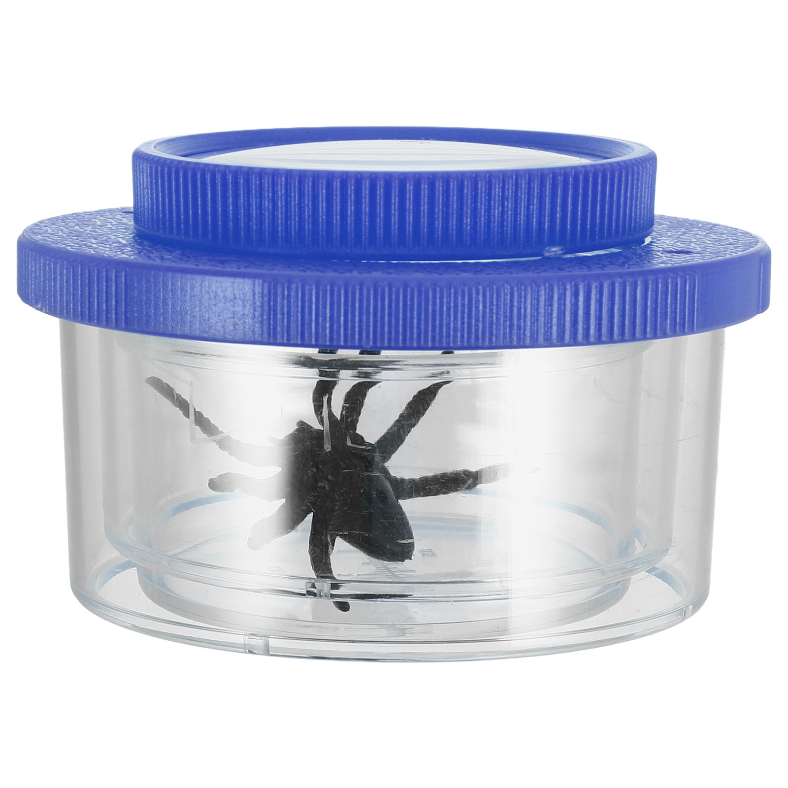 Kit d'observation d'insectes p - Science Toys avis et prix
