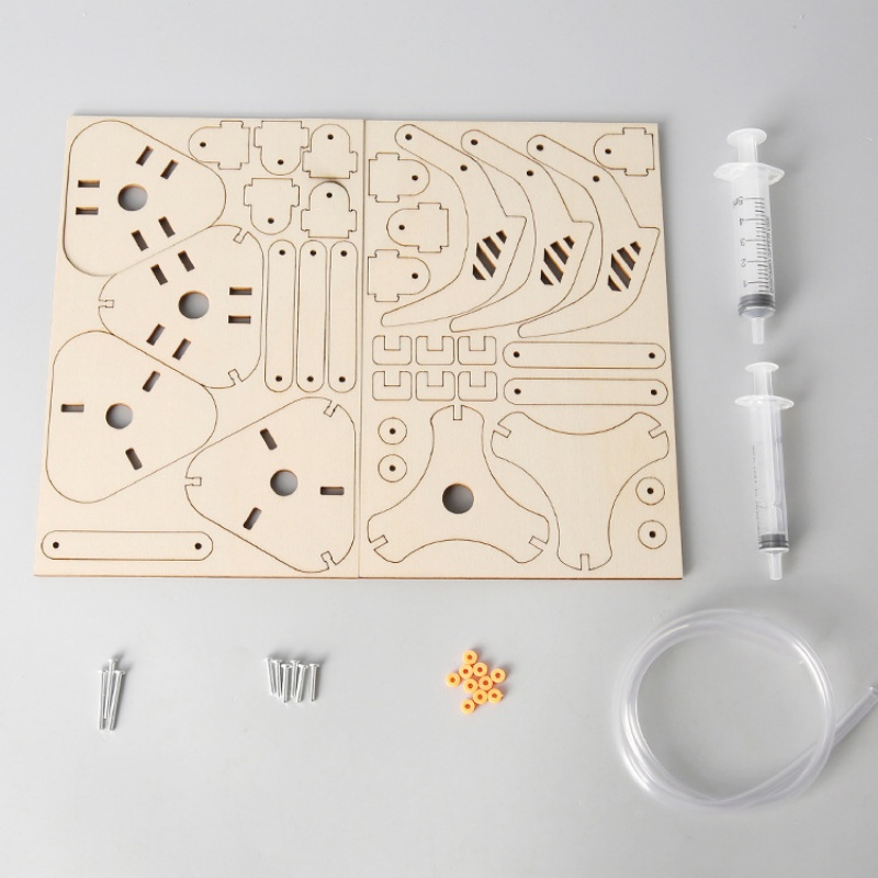 Kit de jouets de modélisme de  - Science Project Diy avis et prix